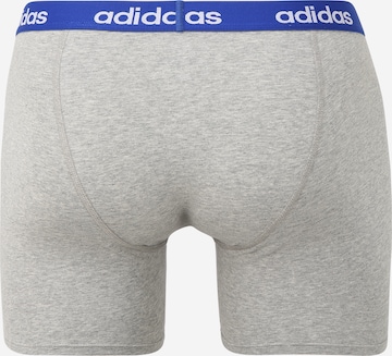 pelēks ADIDAS SPORTSWEAR Sporta apakšbikses