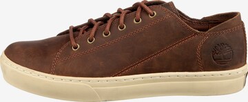 TIMBERLAND Tenisky – hnědá