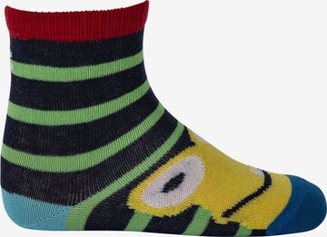 Cucamelon Socks in Mixed colors