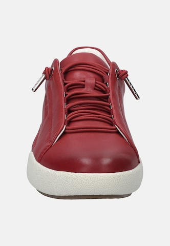 JOSEF SEIBEL Sneakers hoog in Rood