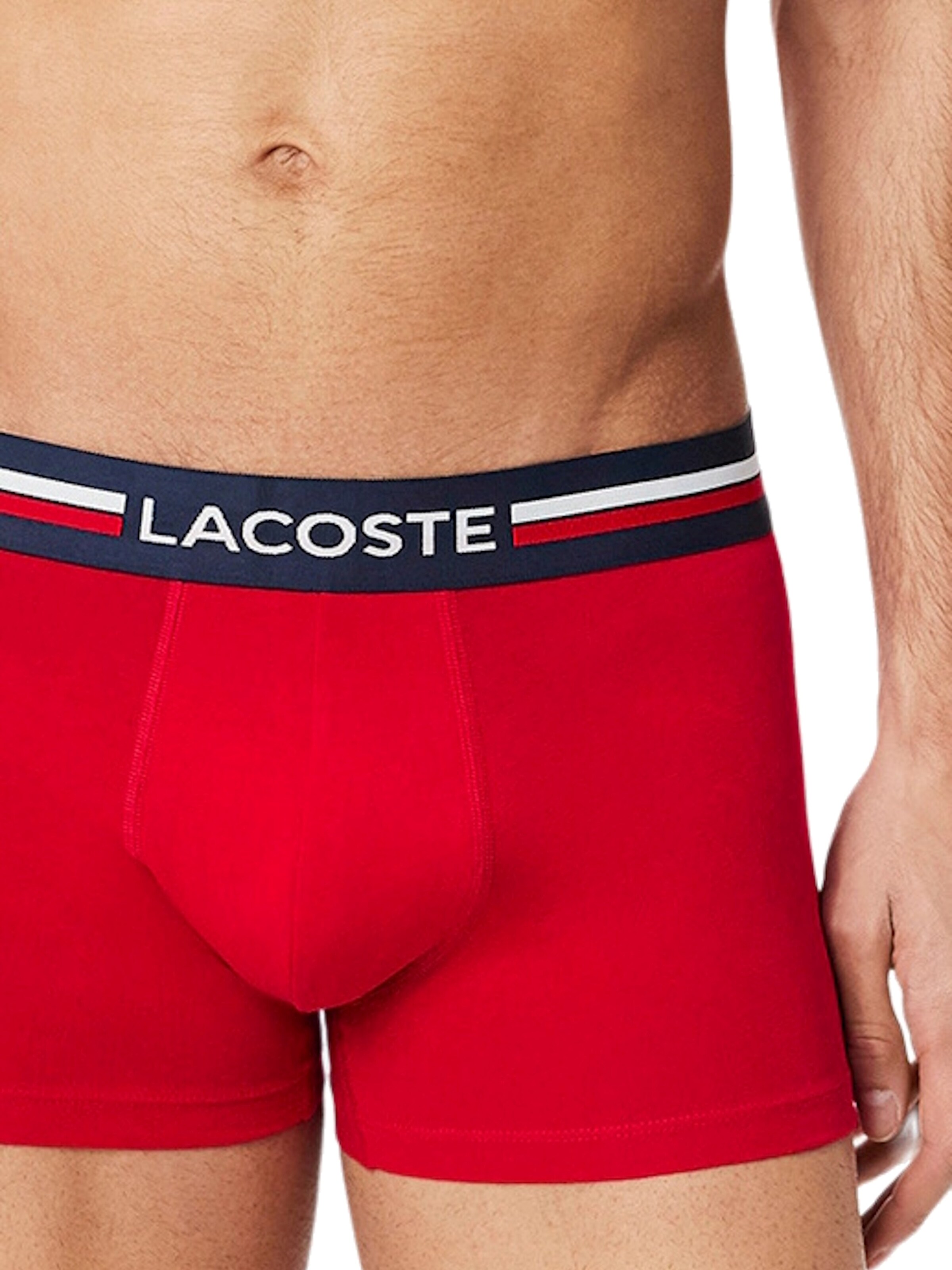 Boxer di LACOSTE in blu
