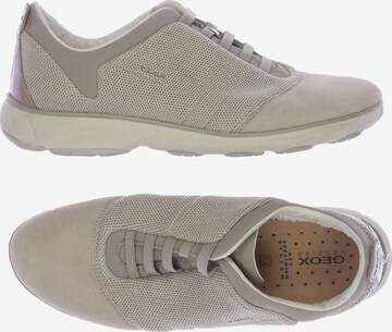 GEOX Sneakers & Trainers in 41 in Beige: front