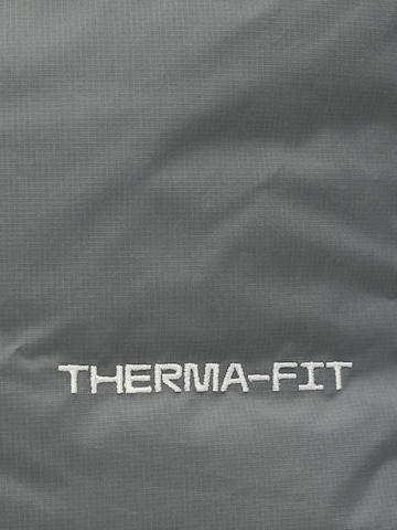 Nike Sportswear Vinterjacka 'CLUB 550' i grå