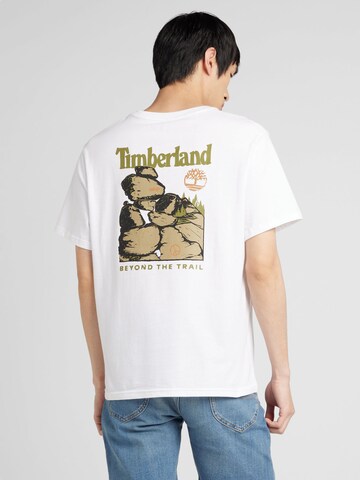 T-Shirt TIMBERLAND en blanc : devant