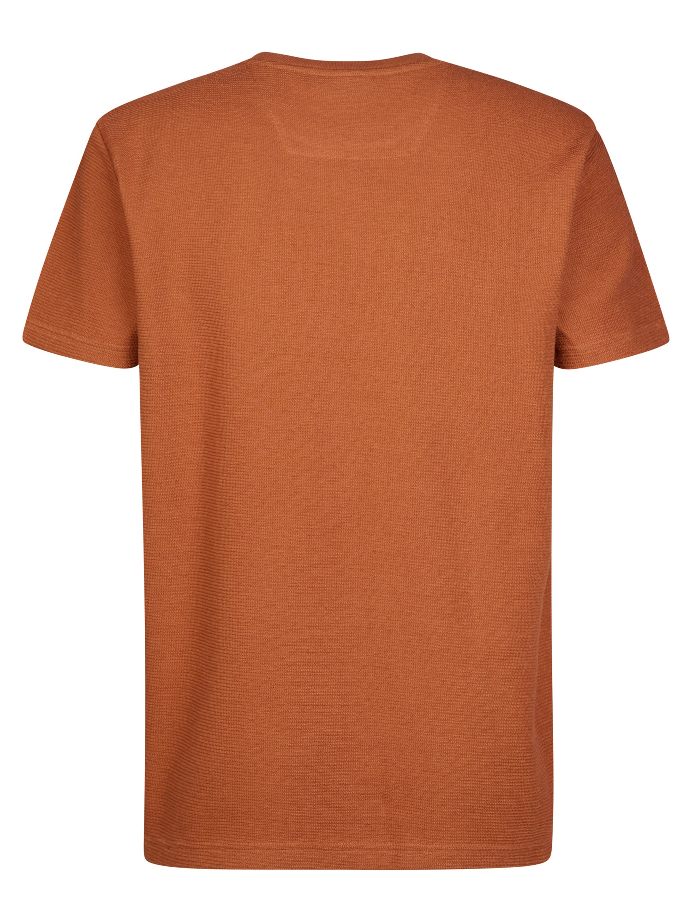 Petrol Industries T-Shirt in Orange