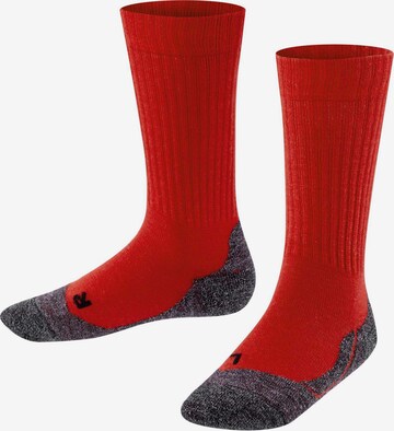 FALKE Athletic Socks 'Active Warm' in Red: front