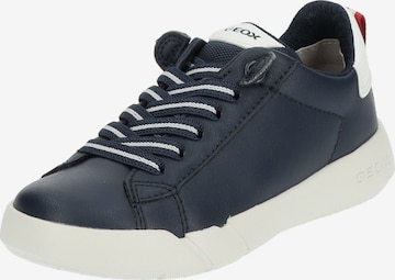 GEOX Sneaker in Blau: Vorderseite