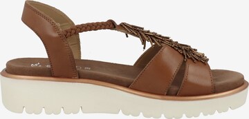 ARA Strap Sandals in Brown