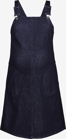 Ulla Popken Dress in Blue: front