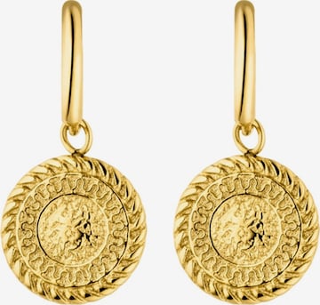 PURELEI Earrings 'Waina' in Gold: front