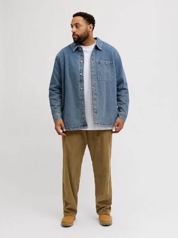 JACK & JONES regular Bukser 'JJ' i brun
