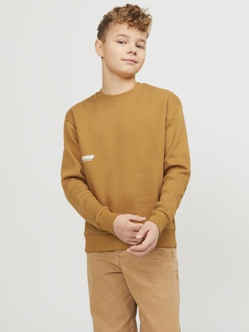 Sweat Jack & Jones Junior en marron : devant