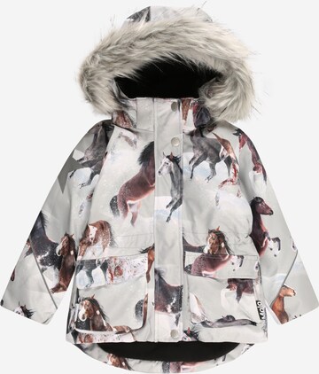 Molo Winter Jacket 'Cathy' in Grey: front