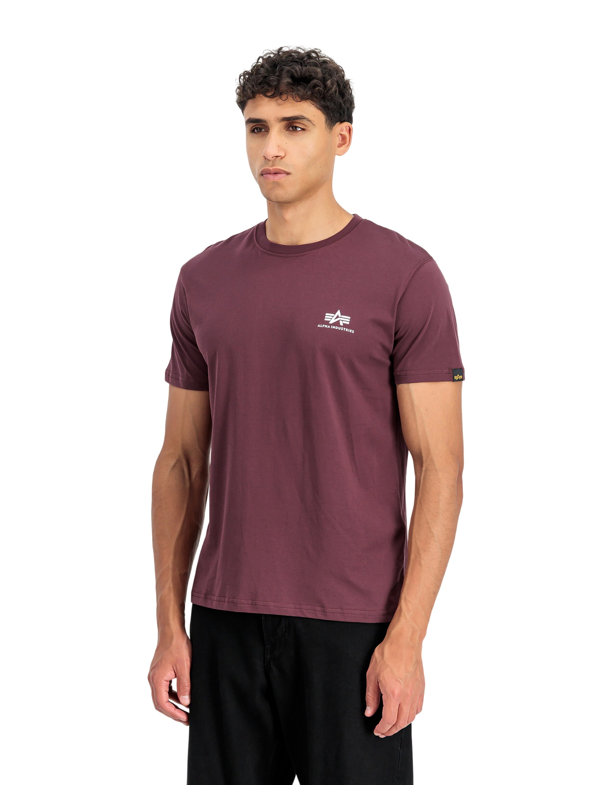 ALPHA INDUSTRIES Regular fit Shirt 'Basic Small Logo' in Red: front