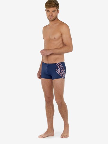 HOM Swim Shorts ' Winner ' in Blau