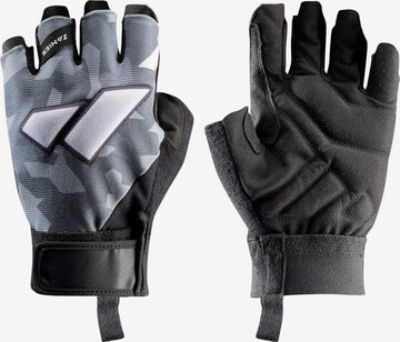 Zanier Full Finger Gloves 'ROCK N ROPE' in Grey: front