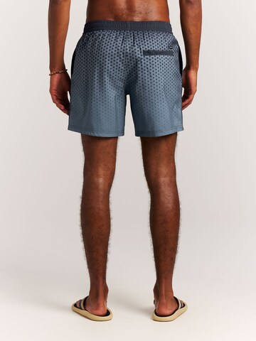 PROTEST Badeshorts 'PRTNorthaw'‌ in Blau