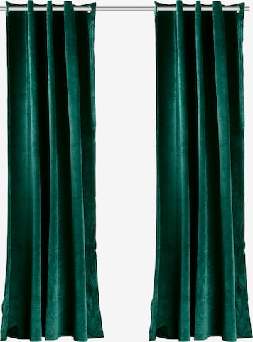 MY HOME Curtains & Drapes in Green: front