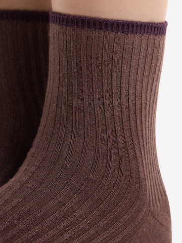 ETAM Socken 'Mindy' in Braun