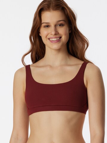 Bustier Soutien-gorge 'Pure Rib' SCHIESSER en marron : devant