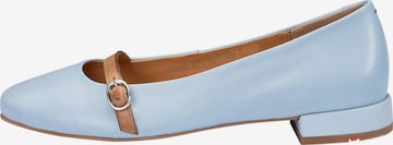 Ballerina di LLOYD in blu: frontale