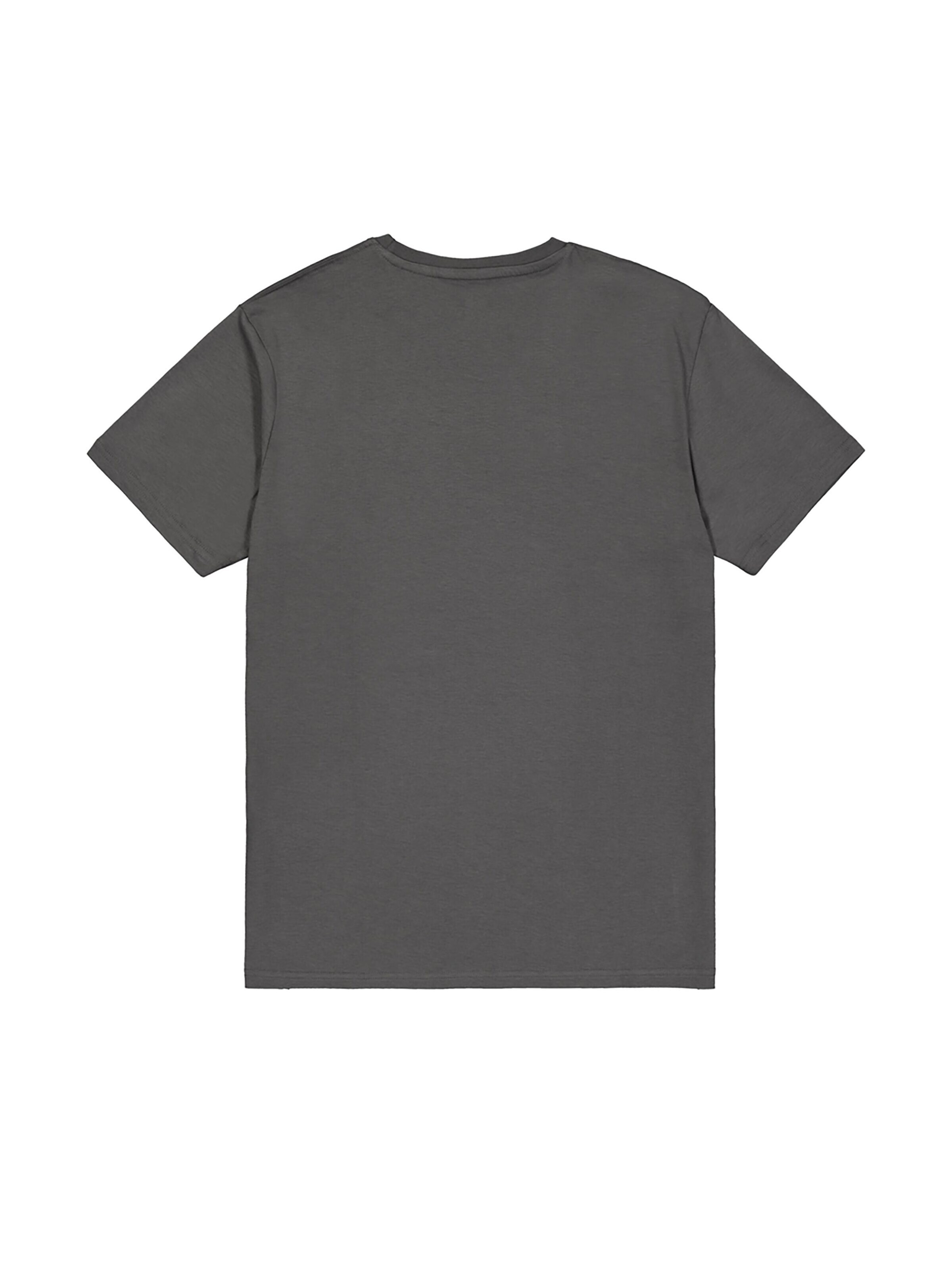 ALPHA INDUSTRIES Shirt 'Basic Mid Logo' in Grey