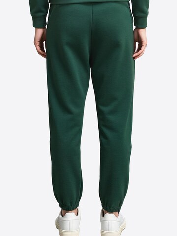 Regular Pantalon de sport '9104' Vivisence en vert
