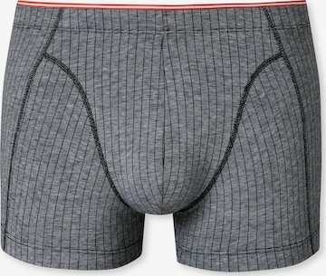 SCHIESSER Boxer shorts ' 95/5 Originals ' in Grey: front