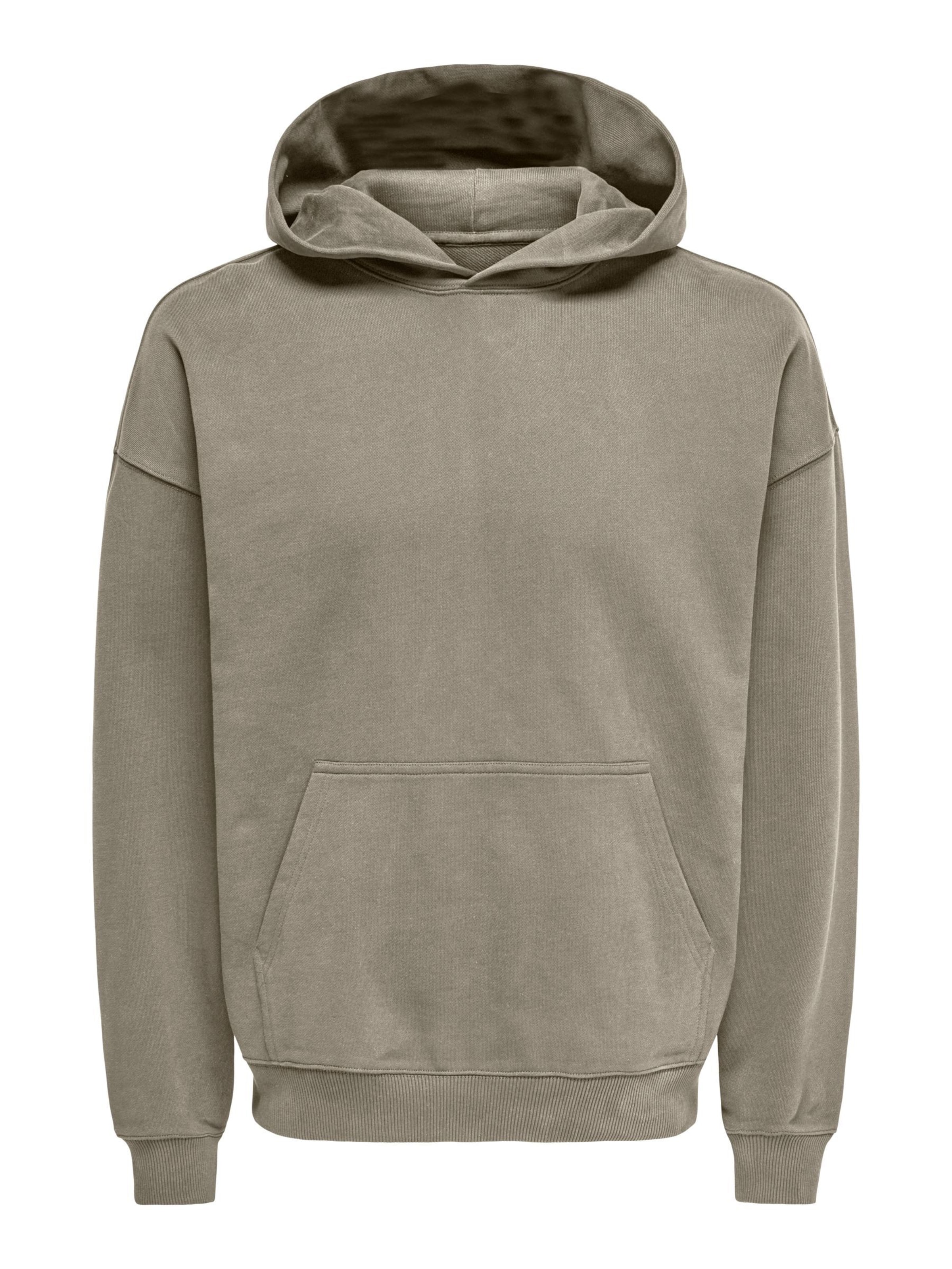 Only & Sons Sweatshirt 'ONSLUCAS' in Grijs: voorkant