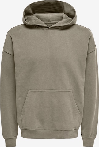 Only & Sons - Sudadera 'ONSLUCAS' en gris: frente