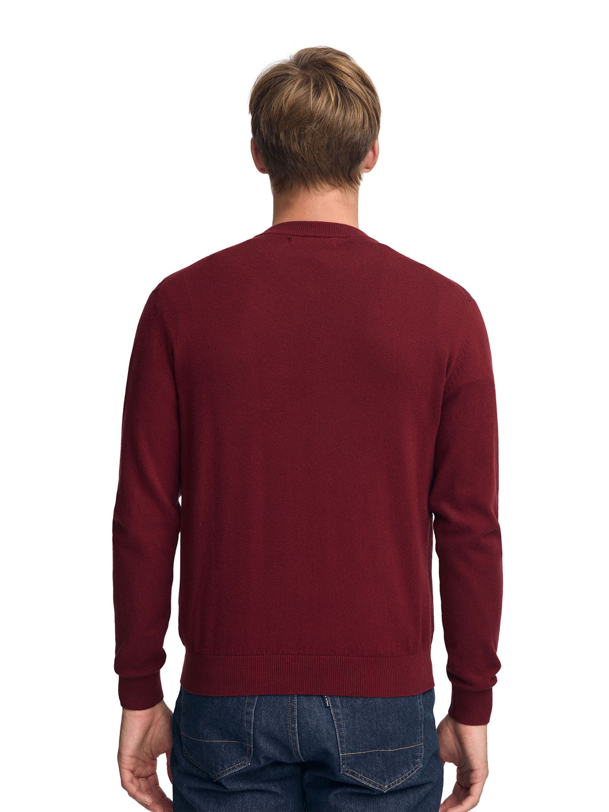Polo Club Pullover in Rot