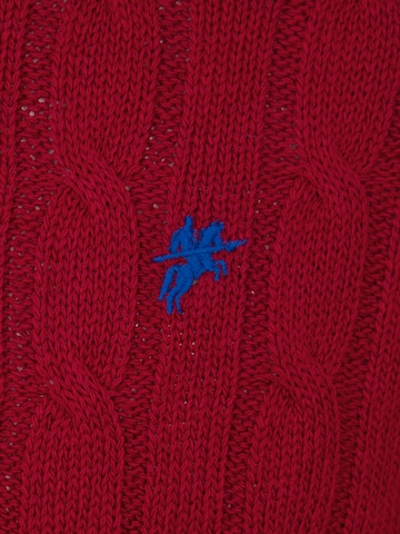 DENIM CULTURE Sweater 'Jeffrey' in Red