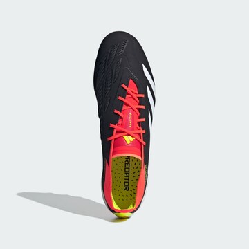 ADIDAS PERFORMANCE Soccer Cleats ' Predator 24 Elite ' in Black