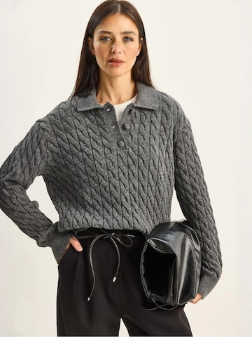 Bianco Lucci - Pullover em cinzento