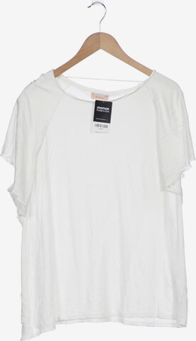 TRIANGLE T-Shirt 5XL in Weiß: predná strana