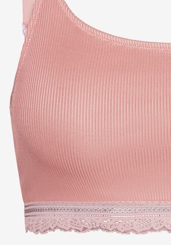 Bustino Reggiseno di LASCANA in rosa