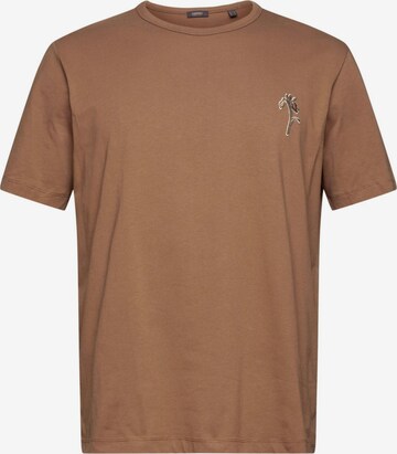 Esprit Collection T-Shirt in Braun