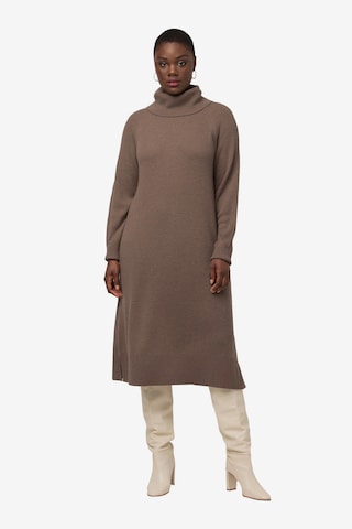 Ulla Popken Knitted dress in Brown: front