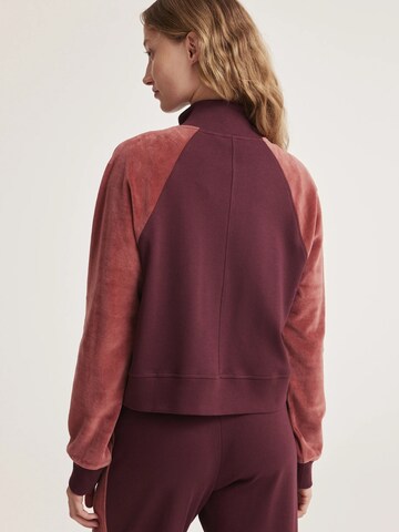 Odd Molly Gebreid vest 'Grace' in Bruin