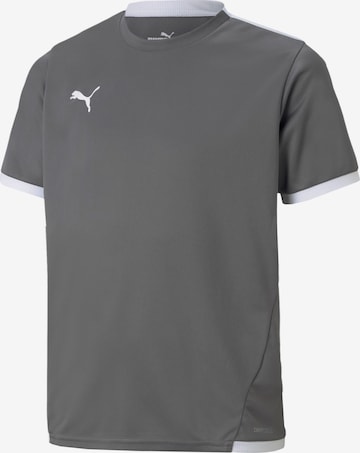PUMA Performance Shirt 'TeamLiga' in Grey: front