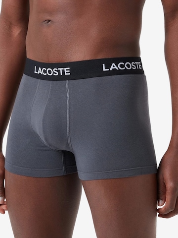 Boxers LACOSTE en gris : devant