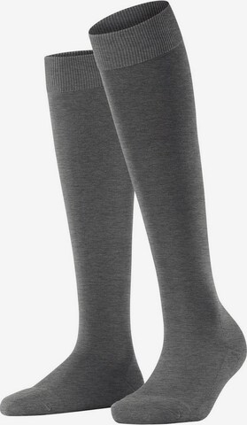 FALKE Sportsocken in Grau: predná strana