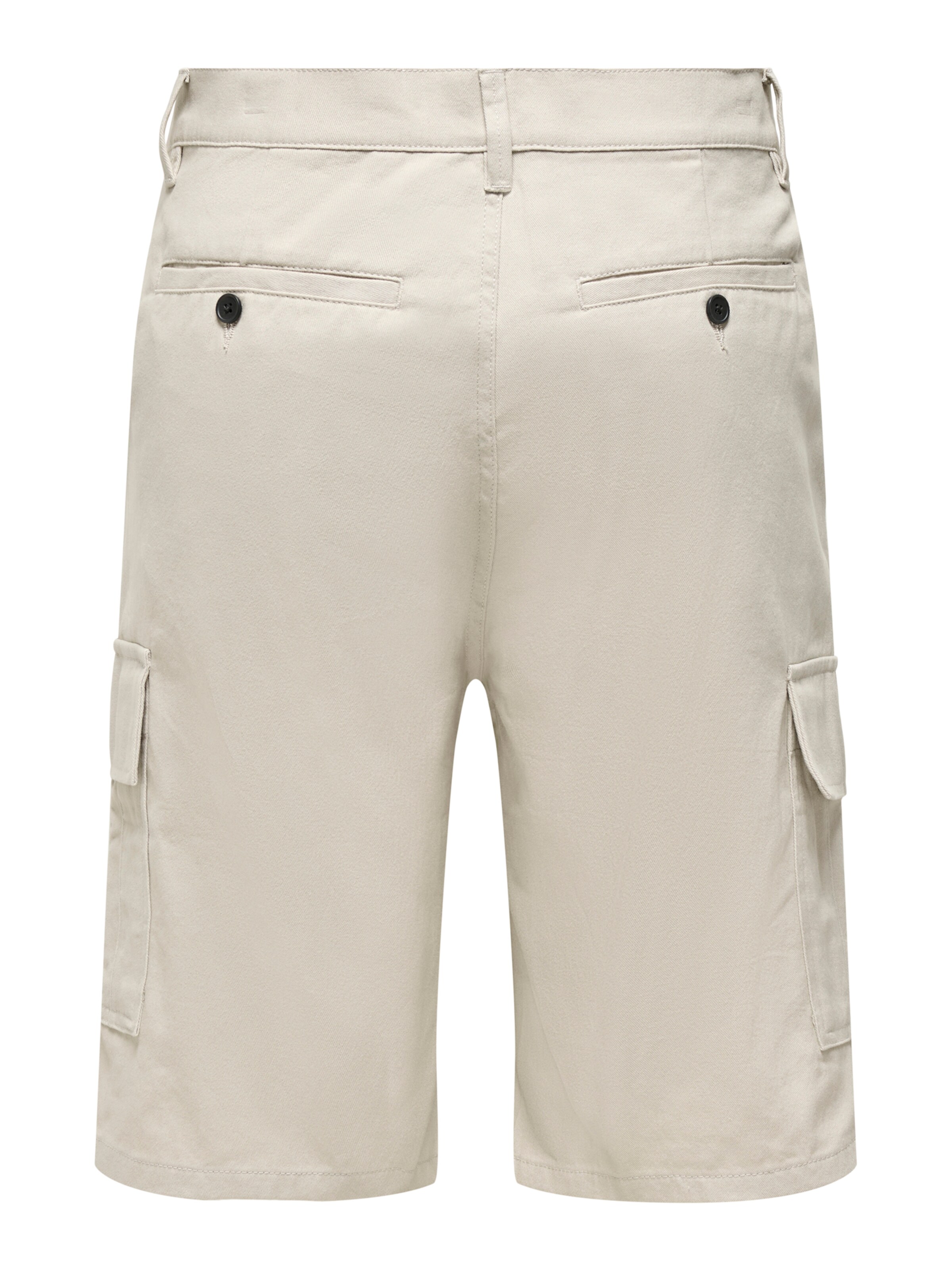 Only & Sons - regular Pantalón cargo 'ONSBOLOGNA' en gris: atrás