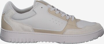 Baskets basses 'Basket Core' TOMMY HILFIGER en beige