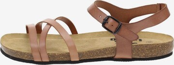 Longo Strap Sandals in Brown