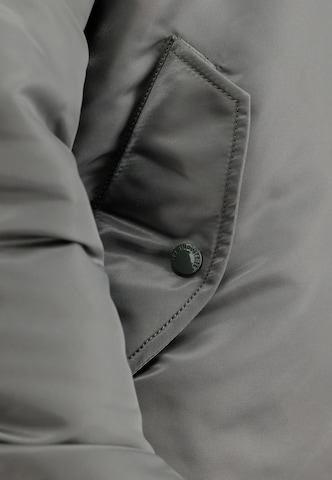 Giacca di mezza stagione 'Fighter Squadron' di ALPHA INDUSTRIES in grigio