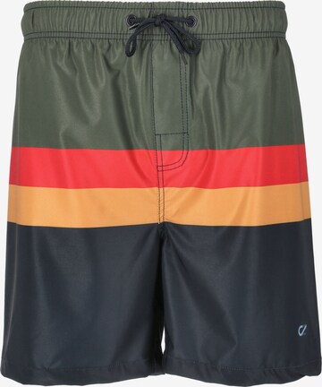 Cruz Board Shorts 'Indy' in Mixed colors: front