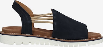 ARA Sandals in Blue