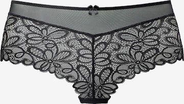 NUANCE Panty in Schwarz: predná strana