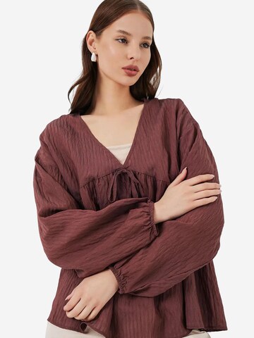 Bigdart Blouse in Brown